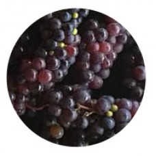 Raisins frais bio / Trollhaugen